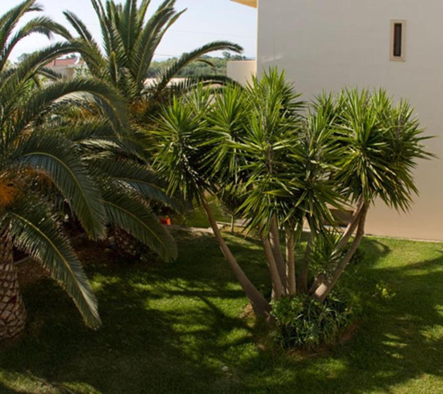Olga Suites Maleme  Exterior photo
